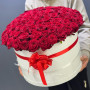 101 красная роза в коробке фото 3